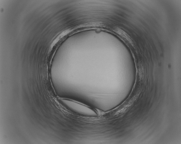 X0000062890781200602101740