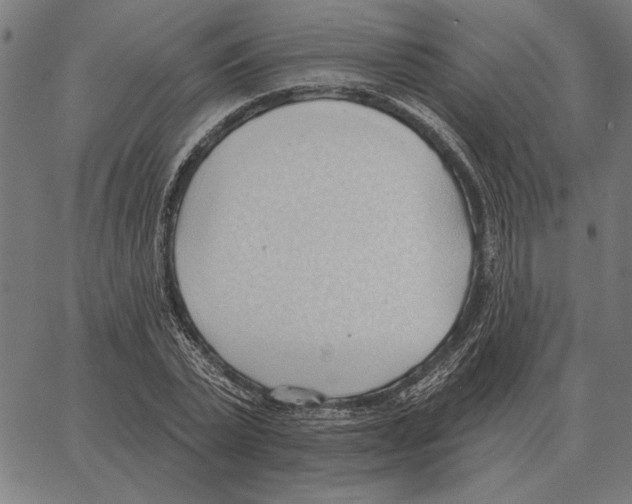 X0000062890783200602101740