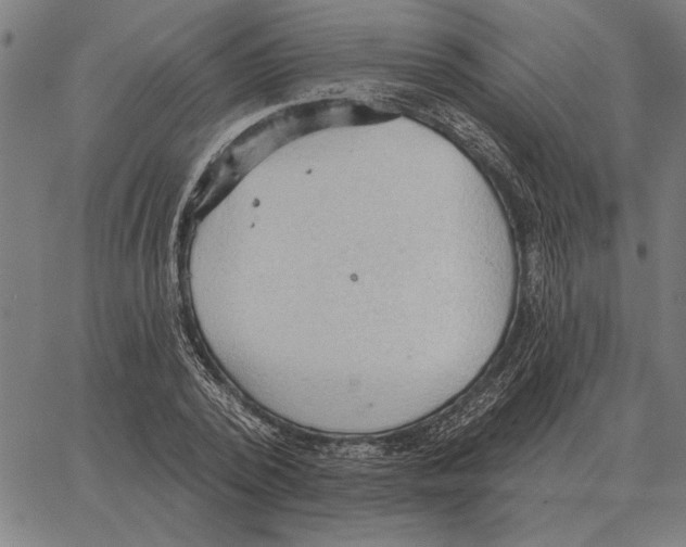 X0000062890784200602101740