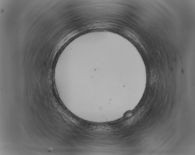 X0000062890786200602101740