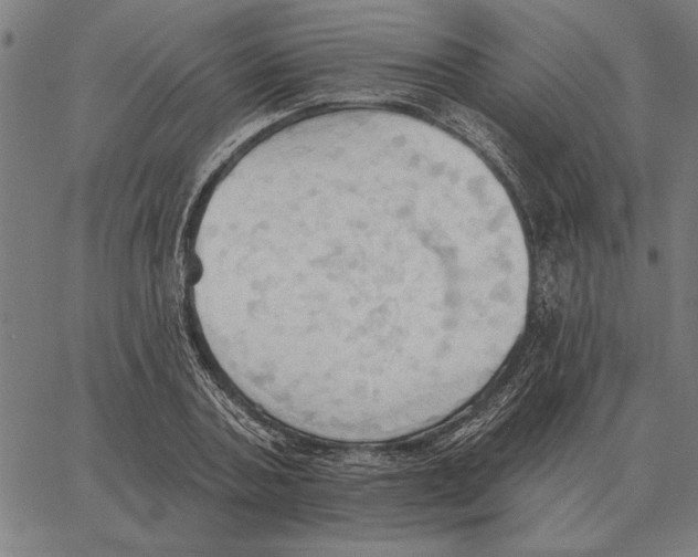 X0000062890787200602101740