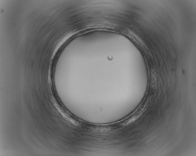 X0000062890788200602101740