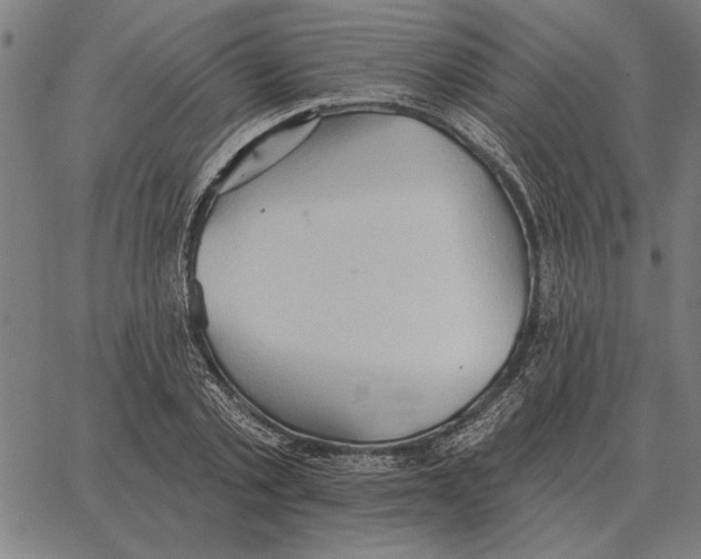 X0000062890789200602101740