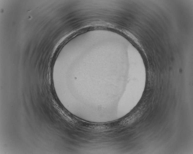 X0000062890791200602101740