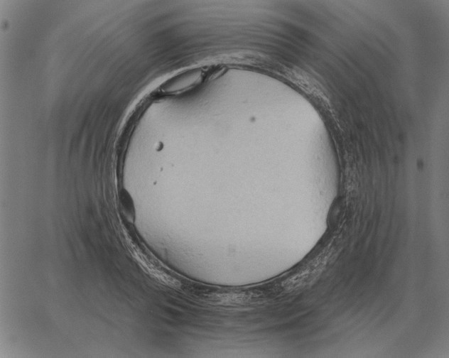 X0000062890792200602101740