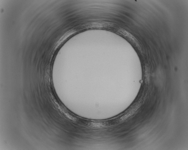 X0000062890794200602101740