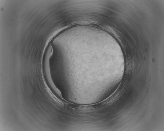 X0000062890795200602101740