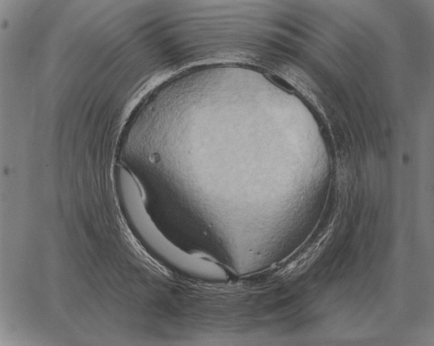 X0000062890797200602101740