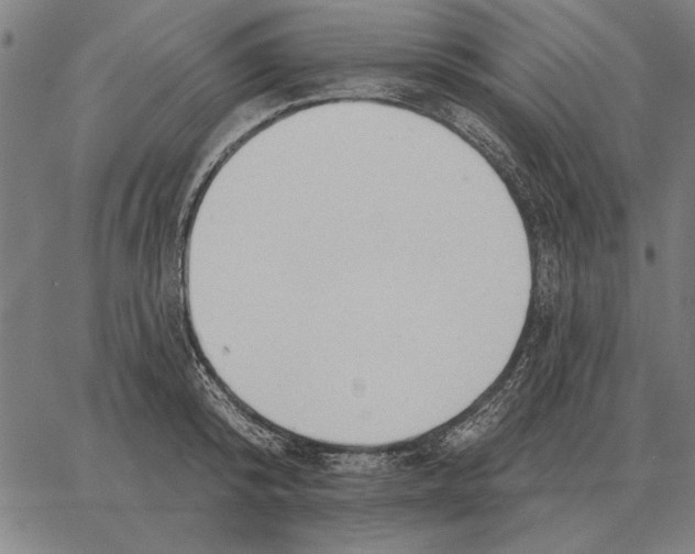 X0000062890800200602101740