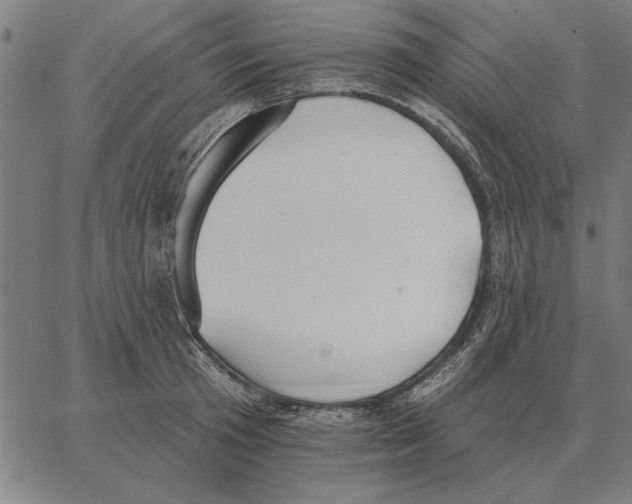 X0000062890801200602101740