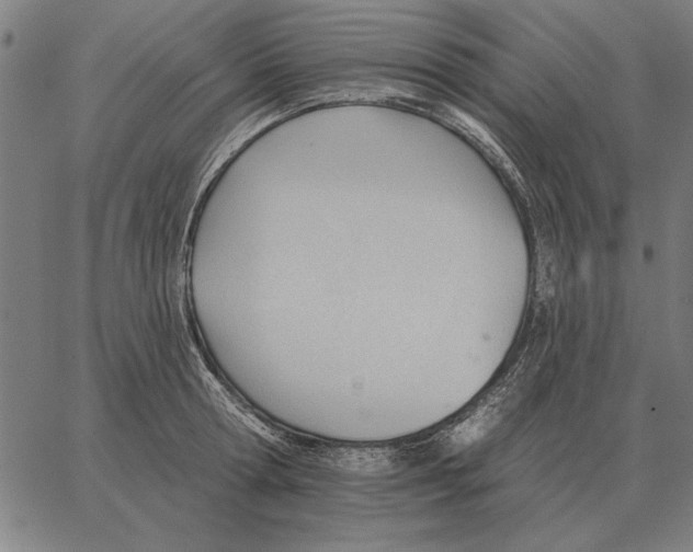 X0000062890802200602101740