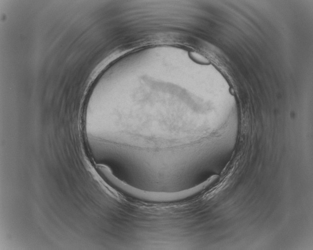 X0000062890803200602101740