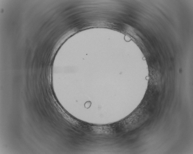 X0000062890804200602101740