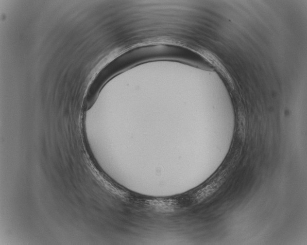 X0000062890805200602101740