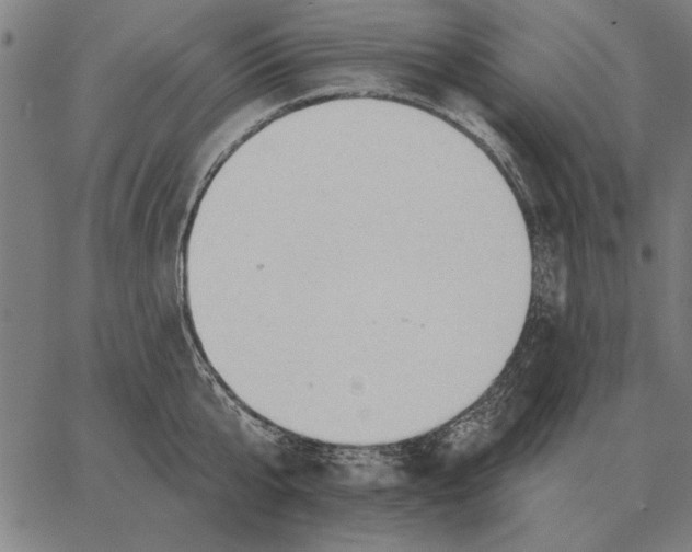 X0000062890807200602101740