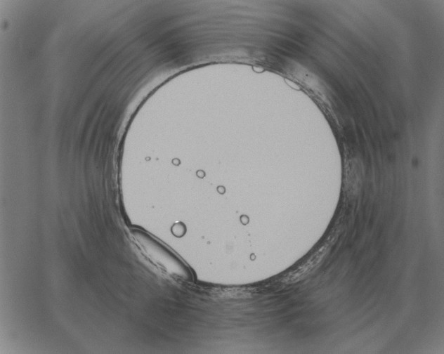 X0000062890808200602101740