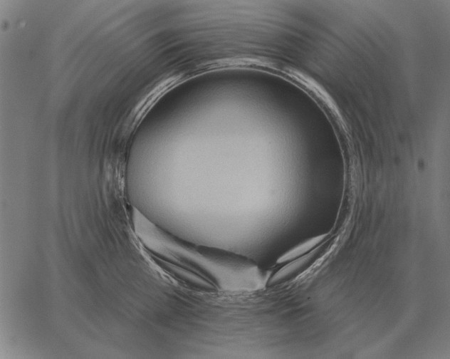 X0000062890809200602101740