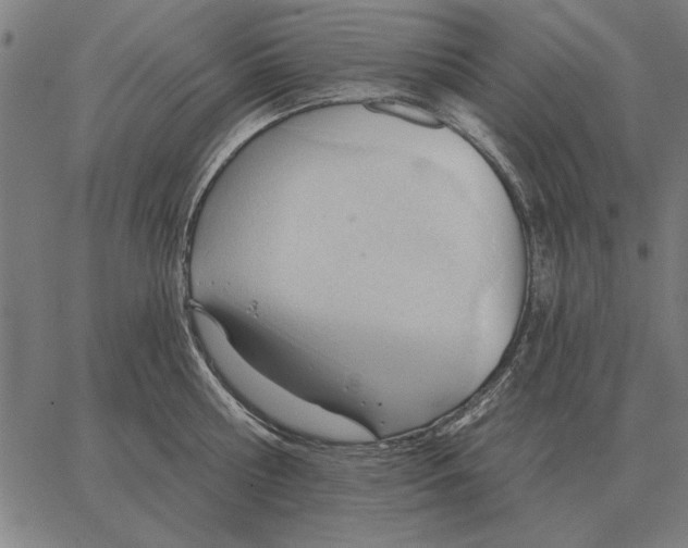 X0000062890810200602101740