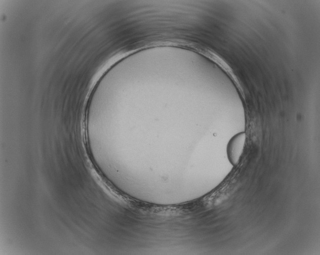 X0000062890811200602101740