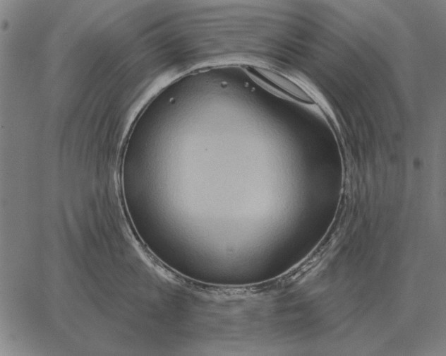 X0000062890813200602101740