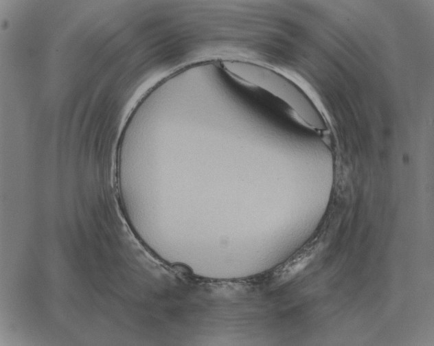 X0000062890815200602101739