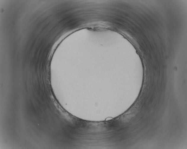 X0000062890816200602101739