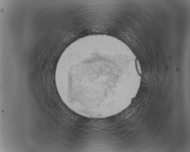 X0000062890817200602101739