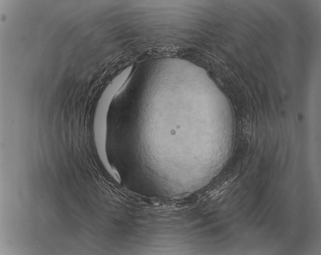 X0000062890818200602101739