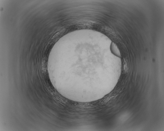 X0000062890819200602101739