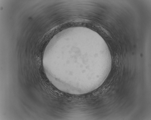 X0000062890821200602101739