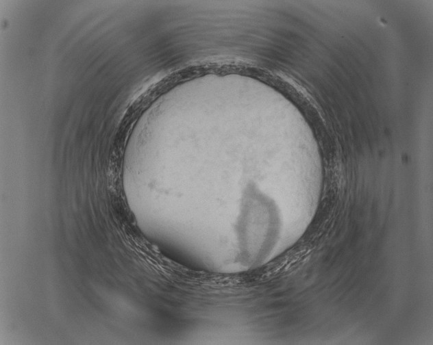 X0000062890823200602101739