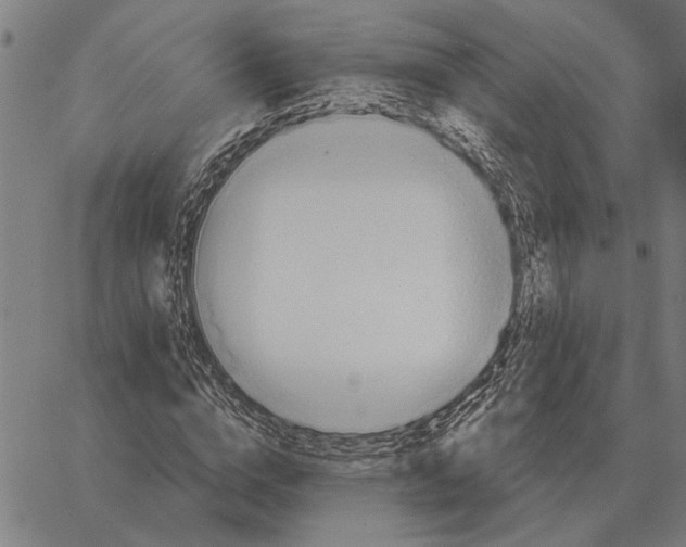 X0000062890824200602101739