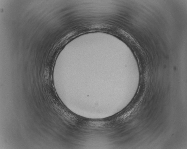 X0000062890825200602101739