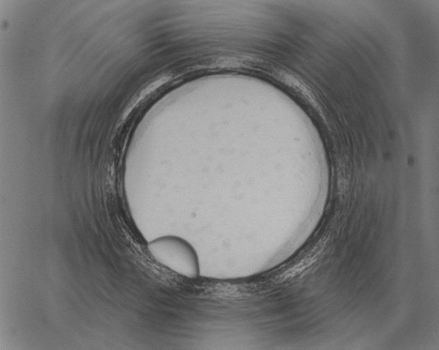 X0000062890827200602101739