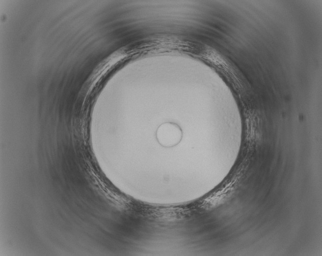 X0000062890828200602101739