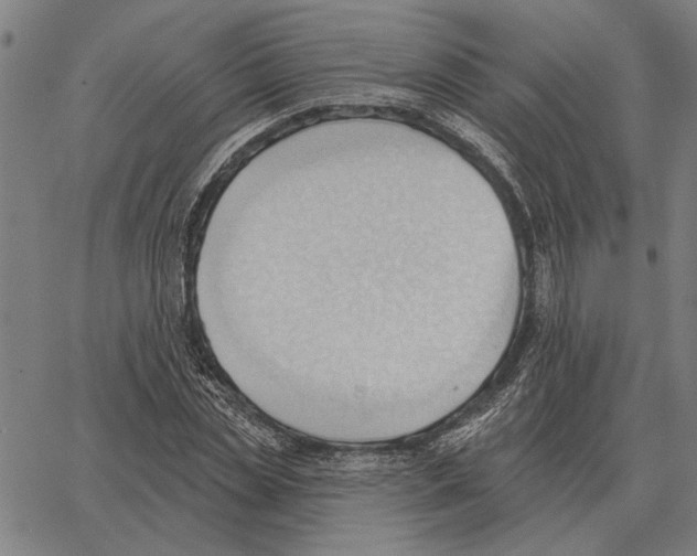 X0000062890829200602101739