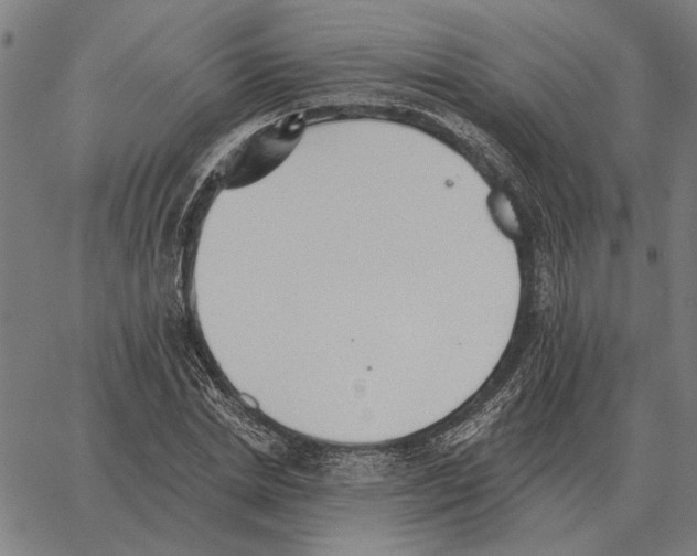 X0000062890830200602101739