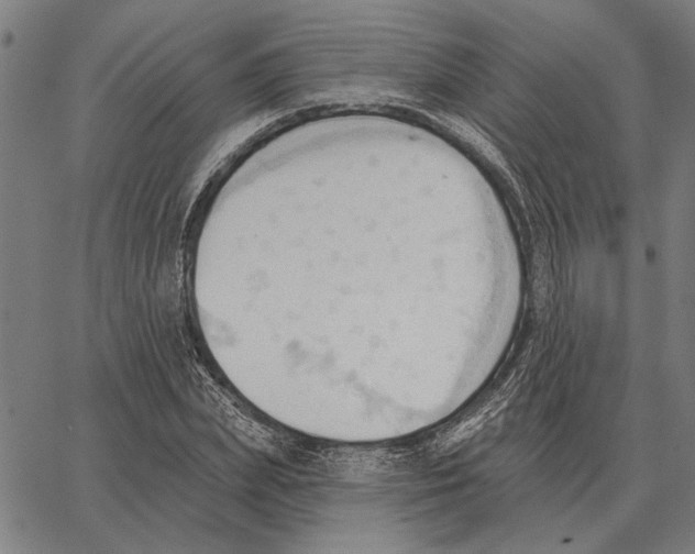 X0000062890831200602101739