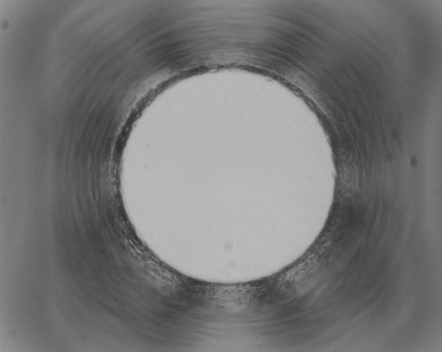 X0000062890832200602101739