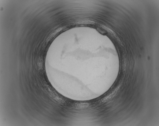 X0000062890833200602101739