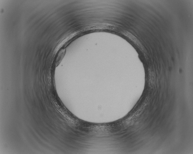 X0000062890834200602101739