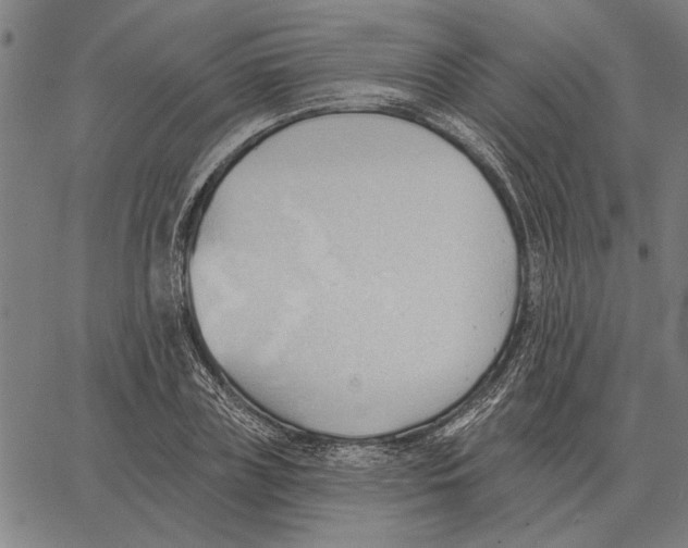 X0000062890835200602101739