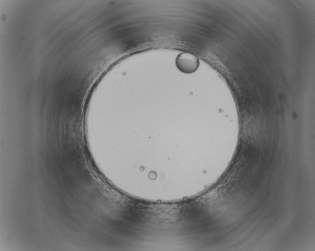 X0000062890836200602101739