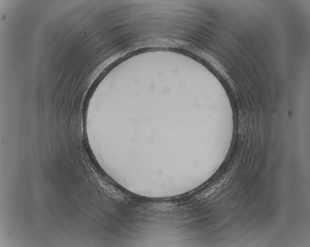 X0000062890837200602101739