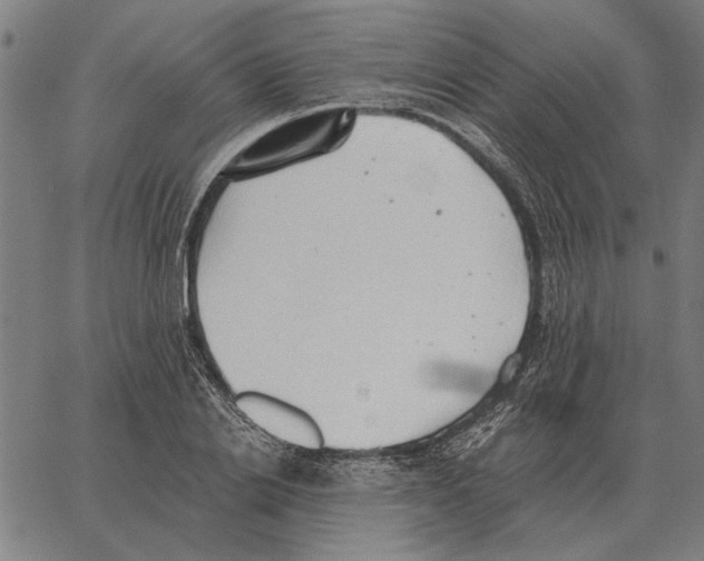 X0000062890838200602101739