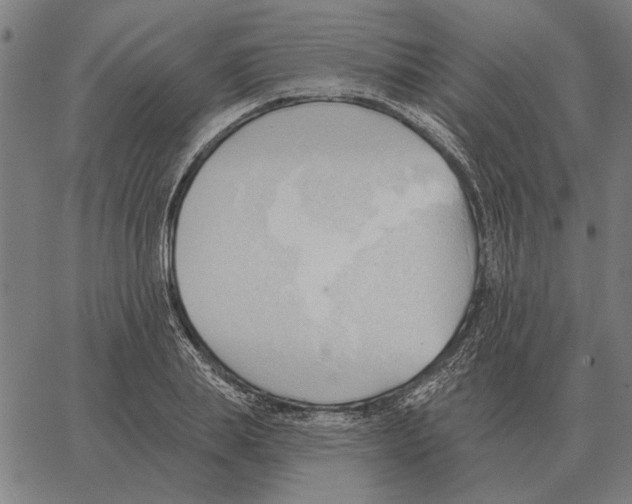 X0000062890839200602101739