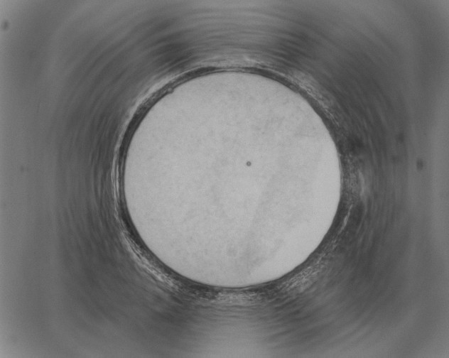 X0000062890840200602101739