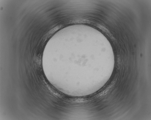 X0000062890841200602101739