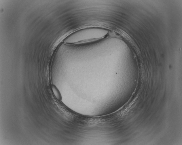 X0000062890842200602101739