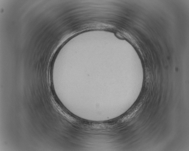 X0000062890843200602101739